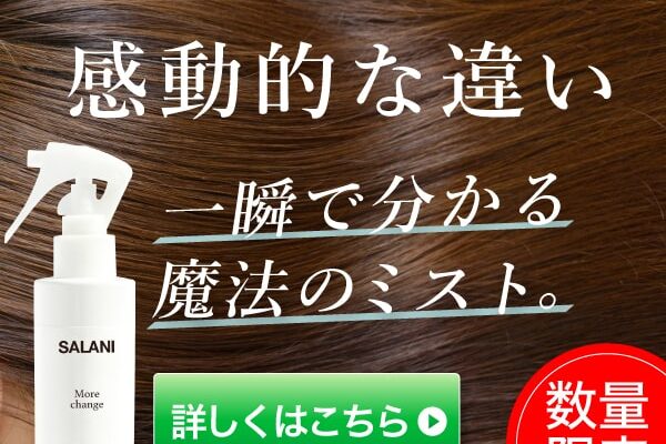 サラニー(SALANI)モアチェンジ の評判、良い 口コミ、悪い口コミ、メリットとデメリットはどうなの? 【徹底解説】