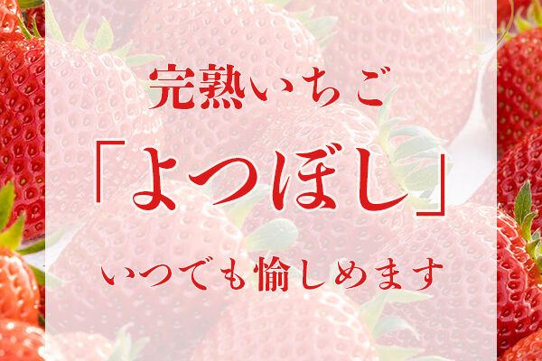 よつぼし 評判、良い 口コミ、悪い口コミ、メリットとデメリット!! 【徹底解説】