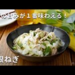 【無限ねぎ】長ねぎとツナ缶で無限に食べられる！レンチンで完成♪