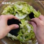 【食材1つ】白菜の韓国海苔ナムル #白菜 #ナムル #レシピ