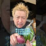 【サンバル】暑い日に食べたいインドネシア料理！ #shorts #料理 #グルメ #レシピ #chef #インドネシア