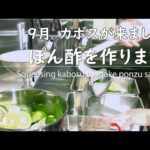 9月 カボス が来ました。ネロリ の香りの中でぽん酢 を作ります。｜リマスター版｜個室 ふぐ 料理 ぎんざ姿 #ぽん酢 #かぼす #作り方 #料理 #レシピ